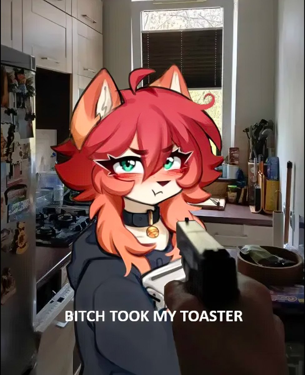 YappCat's tweet photo. https://t.co/APfLdw7SsC