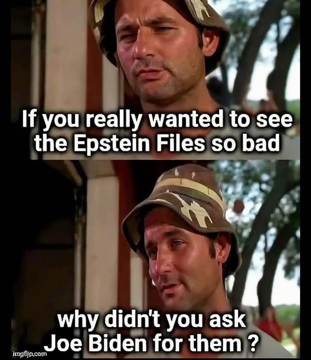 Alpha Wolf 🐺 tweet media