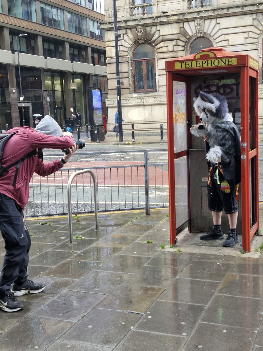 PHOTOGRAPHER APPRECIATION POST!!

Yea sure the furries are all cute to look at and stuff, but remember to appreciate the effort and time our photographers put into it!!

For this #fursuitfriday I wanna show my love for them!

Look at <a href="/SproxxyHusky/">🏳️‍🌈🇩🇰Sproxxy Husky 🔜 NFC</a> go!

📸 <a href="/ItsZaltany/">Zaltany</a>