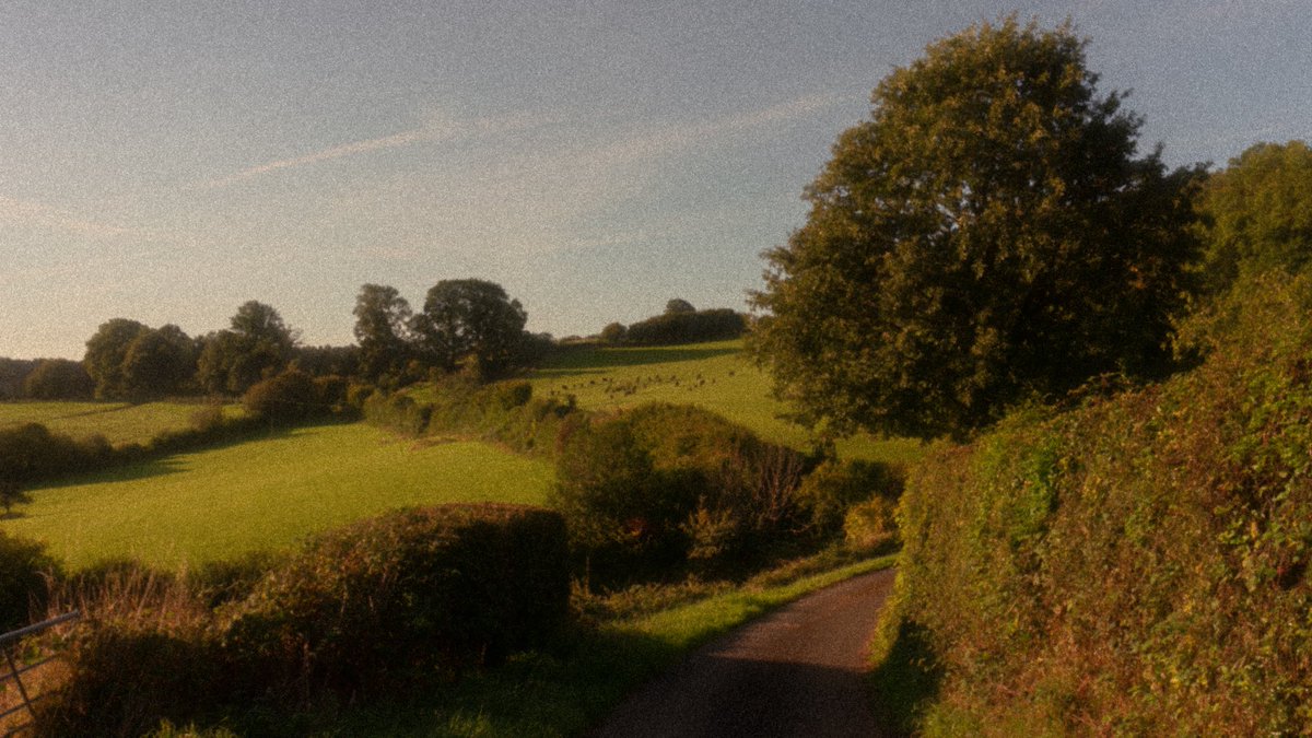 alexfelll's tweet image. my most nostalgic photos