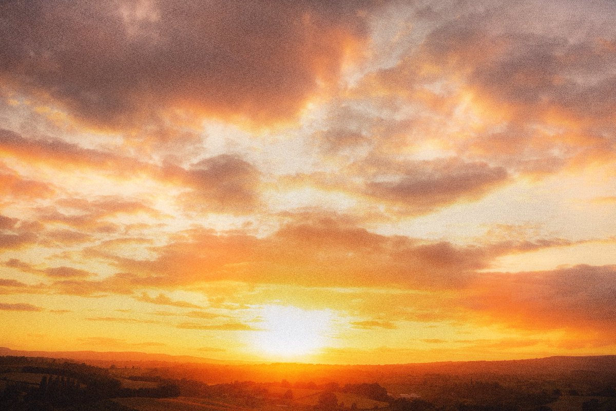 alexfelll's tweet image. my most nostalgic photos