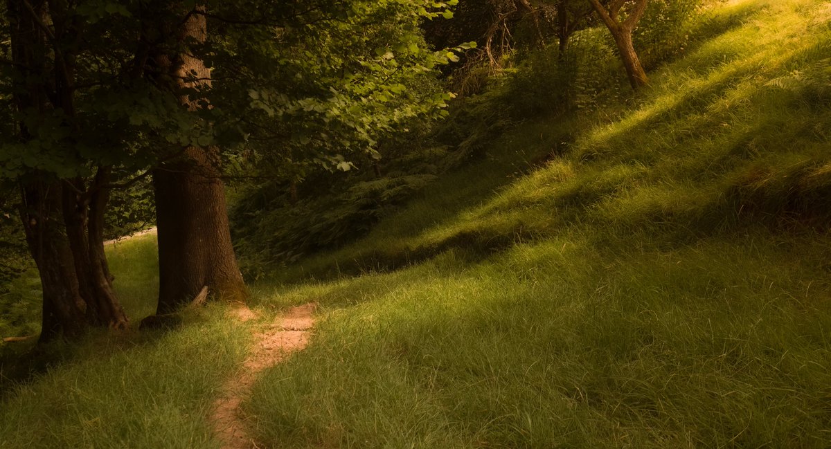 alexfelll's tweet image. my most nostalgic photos