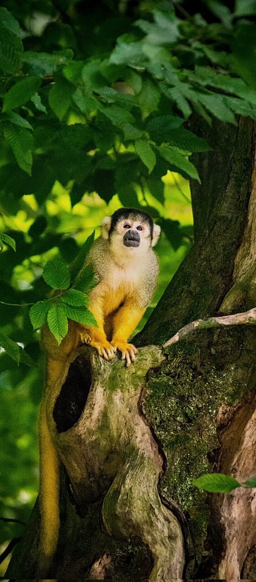 Kerem'in saç traşı wğqüsğwöfeşcş yarıldım ağ tvyi açınca.