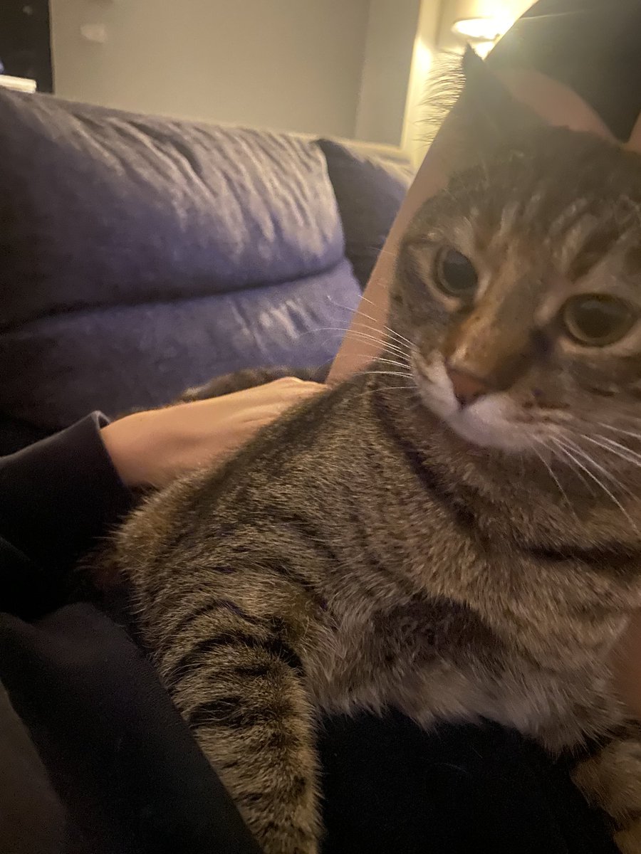 😾: bir daha kendimi kullandırmicam 

her ay kıpırdamadan sıcak su torbası olurken