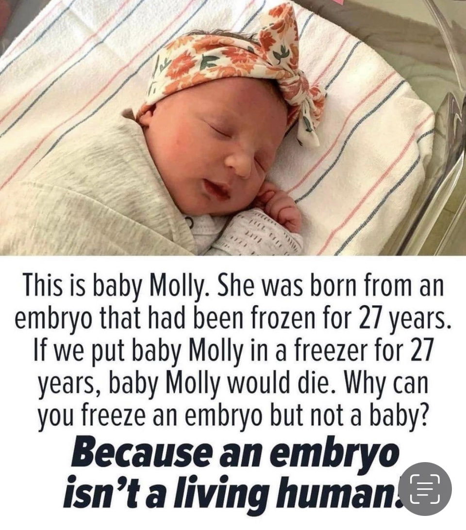 MCapanzzi's tweet image. 