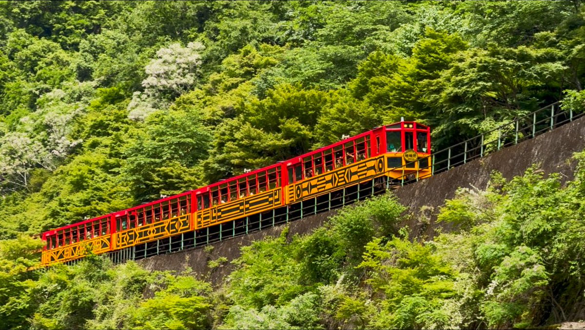 Let’s see your train photo 🚂 

This is Sagano Romantic Train, captured in Arashiyama, Kyoto.