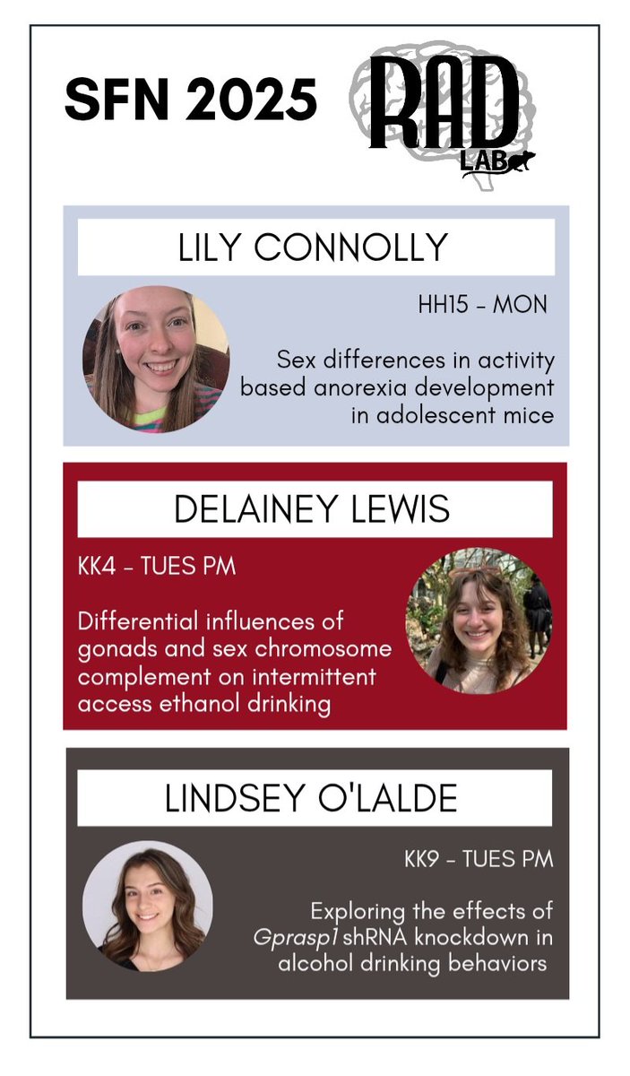 Dr. Anna Radke 🐁🍸👩‍🔬 tweet media