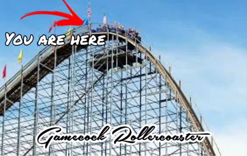 This is exactly where I am…let’s go #GamecockFootball! 🐓 #NoRollercoaster