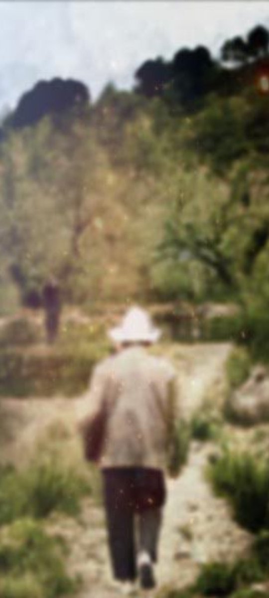 Univers Emili Pujol tweet media