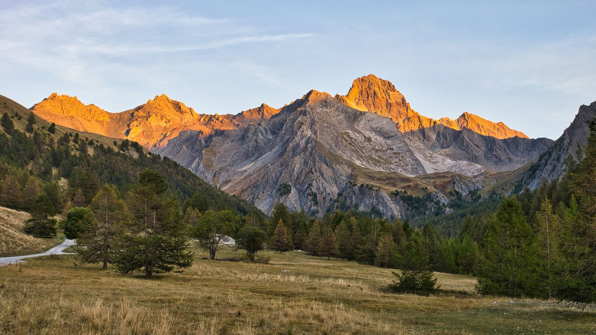 Franck Rando tweet media