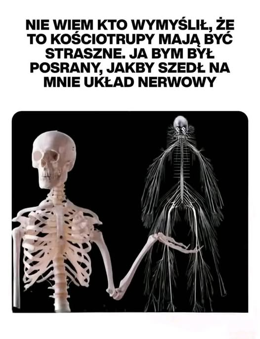 Bruno Jasieński (@brunojasienski) on Twitter photo 