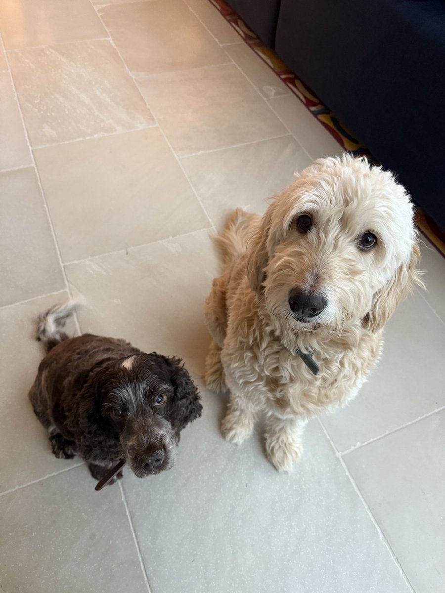 Tashy McTashface tweet media