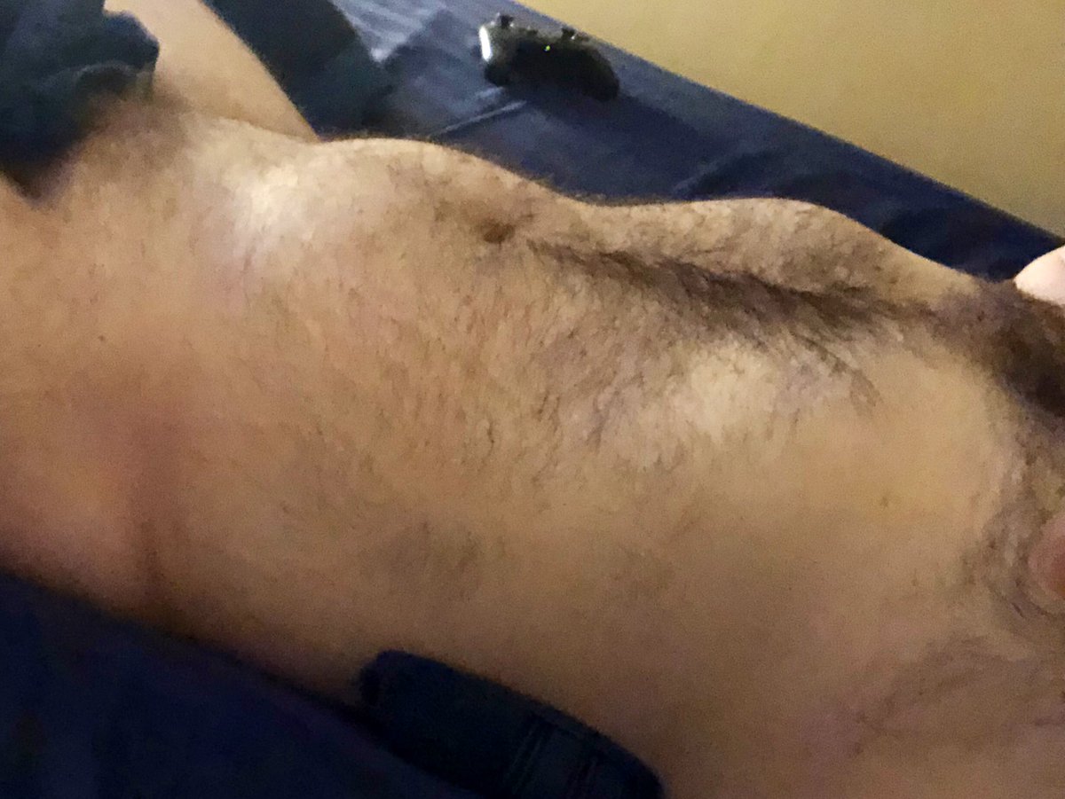 bearbladderbulge tweet media