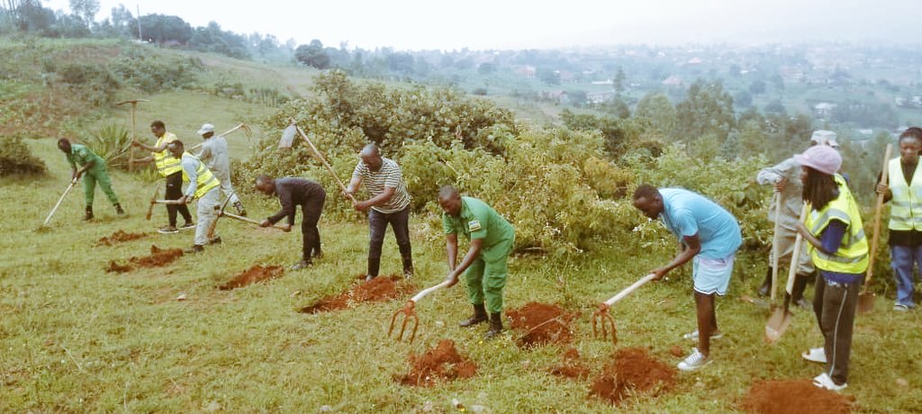 NderaV's tweet photo. Uyumunsi tariki 15/11/2025 Urubyiruko rw'abakorera bushake Rufatanyeje nizindi nzego z'urubyuruko ninzego z'Umutekano bakore mu murenge wa Ndera habaye umuganda wo gucukura imyobo 4000 izaterwamo ibiti mu rwego rwo gukomeza kubungabunga ibidukikije. @CityofKigali @RYVCP_Gasabo https://t.co/H4XyeRKgNh
