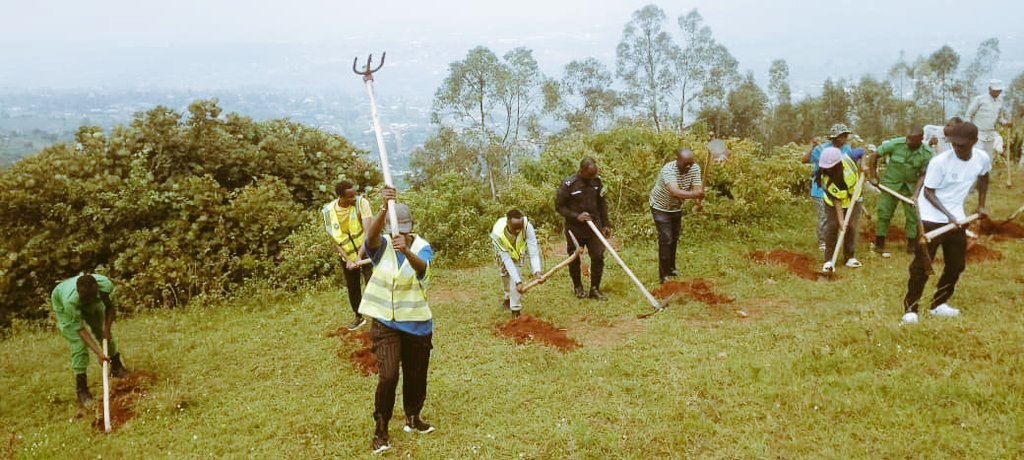 NderaV's tweet photo. Uyumunsi tariki 15/11/2025 Urubyiruko rw'abakorera bushake Rufatanyeje nizindi nzego z'urubyuruko ninzego z'Umutekano bakore mu murenge wa Ndera habaye umuganda wo gucukura imyobo 4000 izaterwamo ibiti mu rwego rwo gukomeza kubungabunga ibidukikije. @CityofKigali @RYVCP_Gasabo https://t.co/H4XyeRKgNh