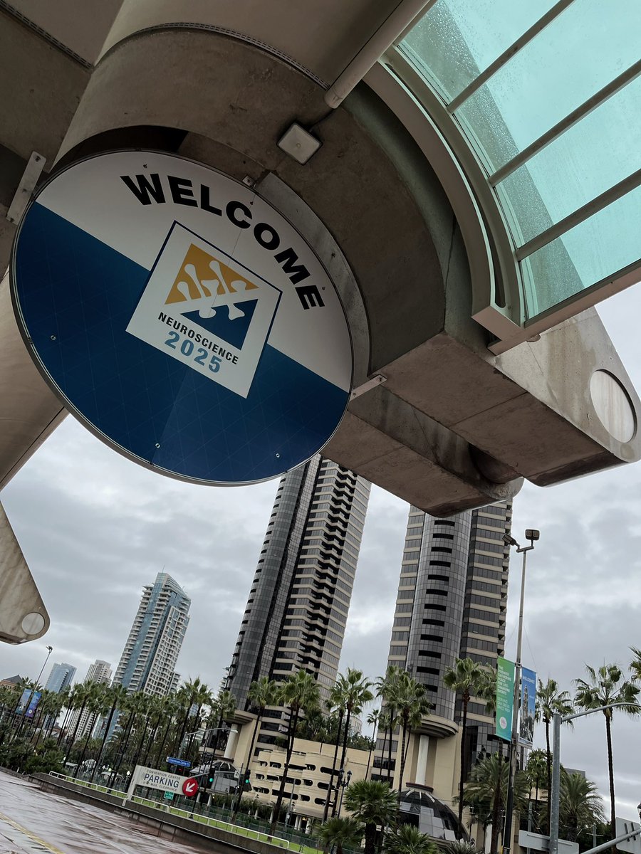 Luke Pattison tweet media