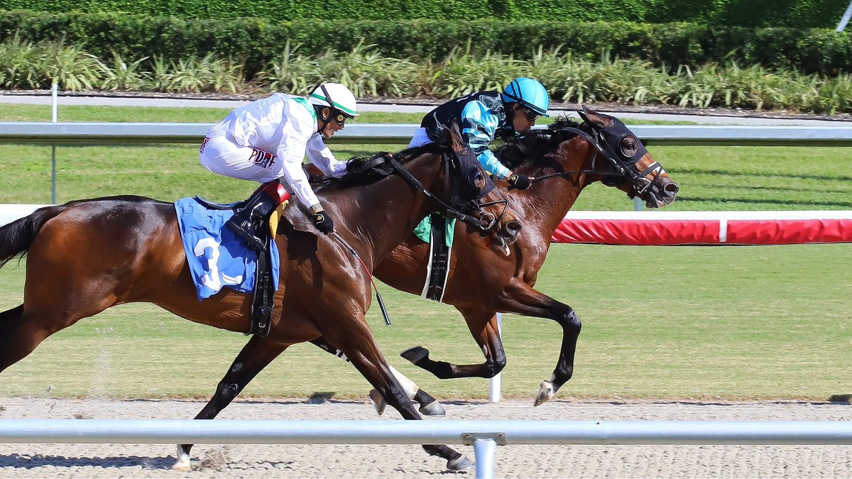 Excuses goes gate to wire in race 3 for trainer Amador Sánchez, back to back victories for <a href="/JaramilloJockey/">Emisael Jaramillo</a>! #GulfstreamPark #SunshineMeet