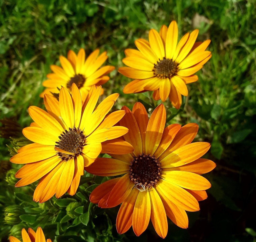 Maria Lea tweet media