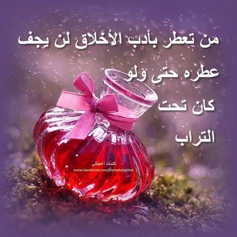 okkamel112's tweet photo. https://t.co/3PuefKKlBd