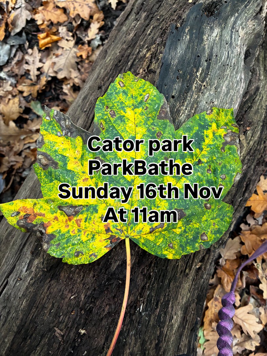 ParkBathe tweet media