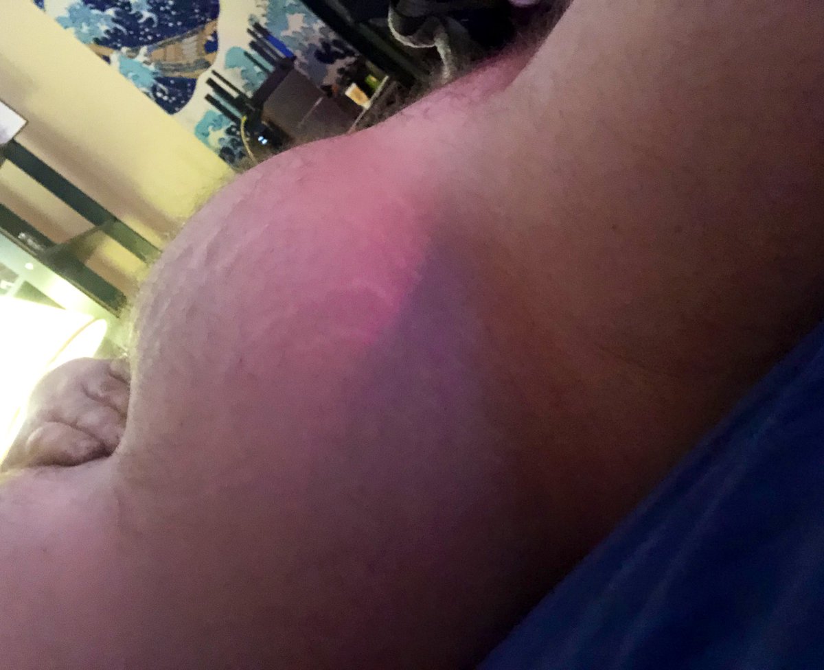 bearbladderbulge tweet media