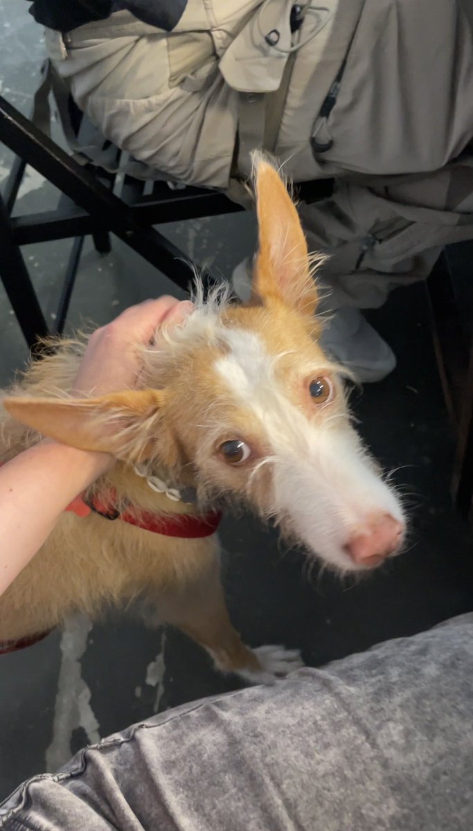 Toujours des bons moments ces ateliers de synthé DIY.

Assez bricollé, un kébab de circonstances et maintenant techno.

Dormir ? Demain car j’ai la flemme.