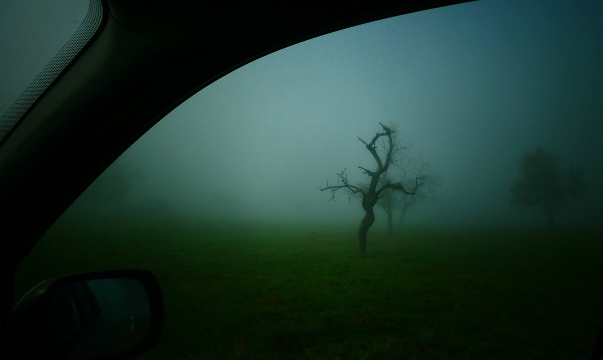 wongsusie (@withnomoney) on Twitter photo 