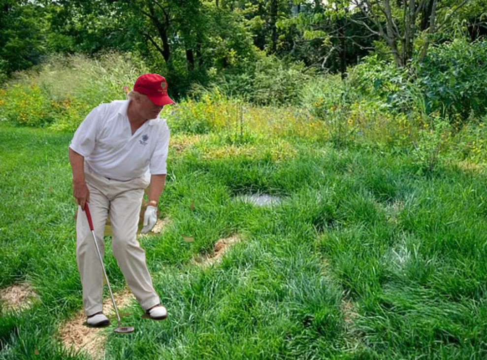 Donald Trump, frantic over Epstein, criticized Thomas Massie for getting married too soon (1 year) after his wife of 35 years died.

In other news Donald Trump accidentally visited the grave of his first wife and mother of his children when he hit a ball into the weed infested