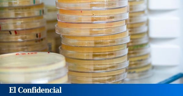 Semedlab's tweet image. ¿Las superbacterias podrían causar más muertes que el cáncer en 2050? 📢 

Así lo han advertido en el XIX Congreso Nacional de Laboratorio Clínico #LABCLIN2025 organizado por la #SEMEDLAB que ha reunido a unos 1.500 expertos 📌 

buff.ly/iqSm6sr