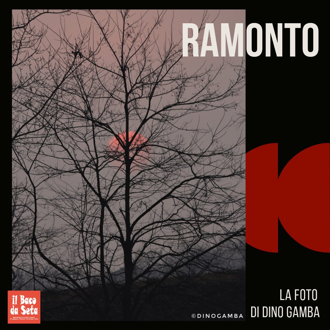 La foto della settimana, di Dino Gamba