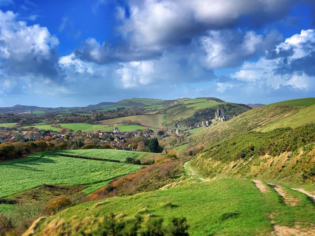 Ninebarrow tweet media