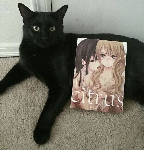 hicuckomori's tweet image. 