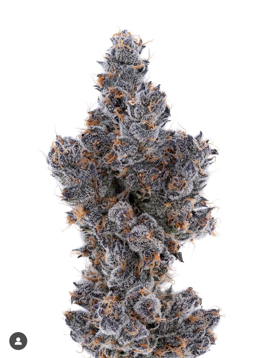 Moon Made Farms tweet media