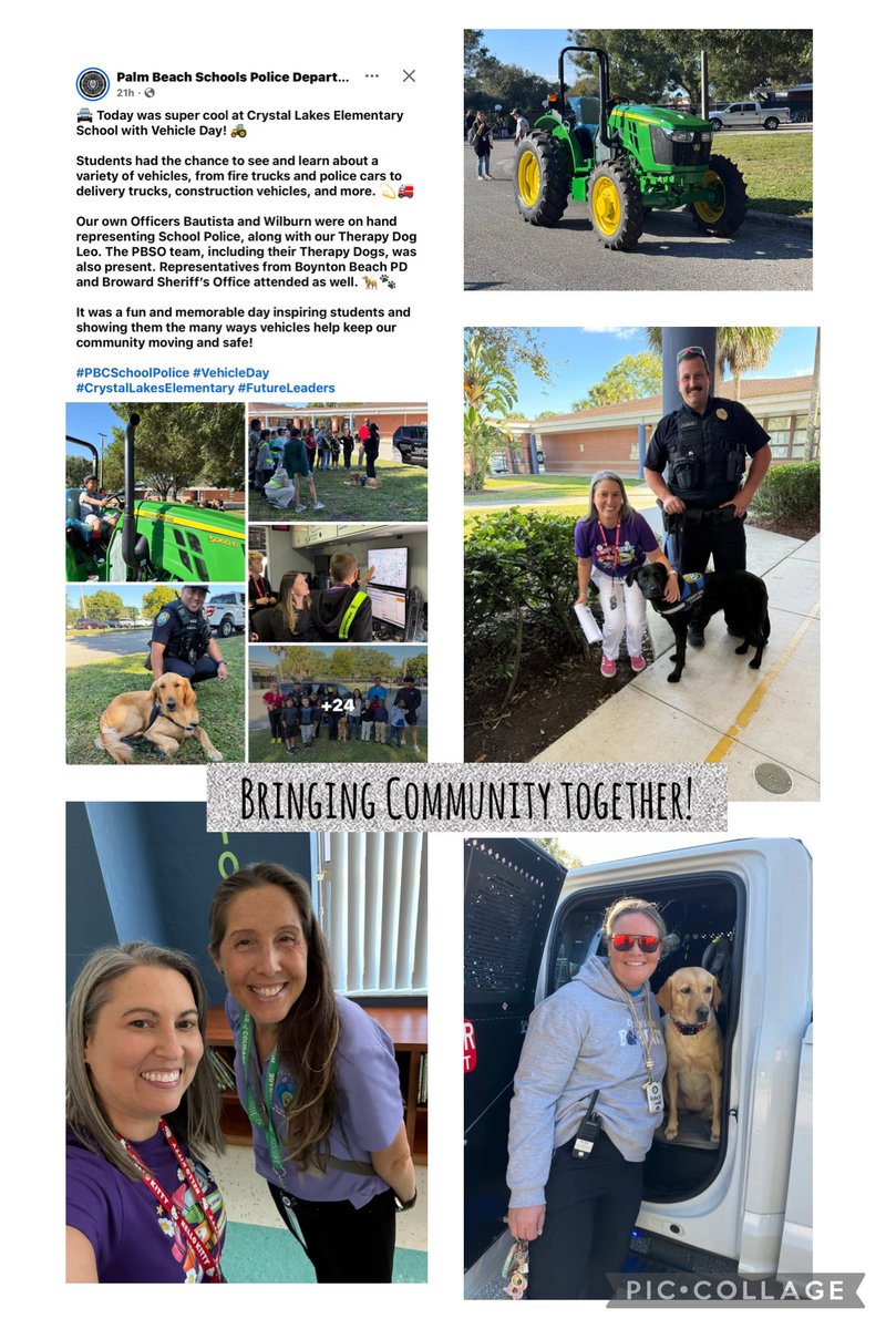 Sheena Blue tweet media