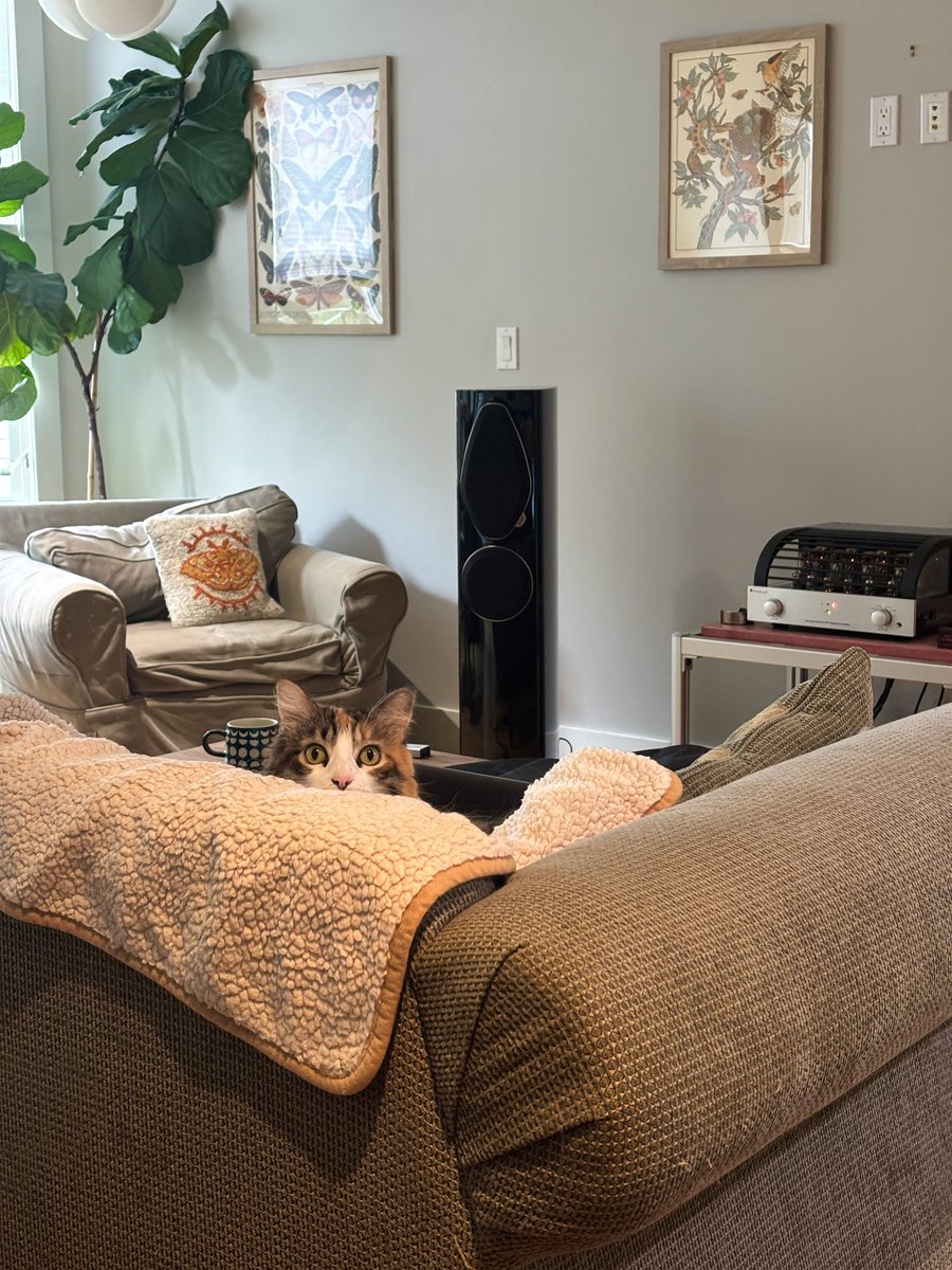 life has been good lately ❤️ enjoying the cooler weather, nature, and changing of the seasons 🍂