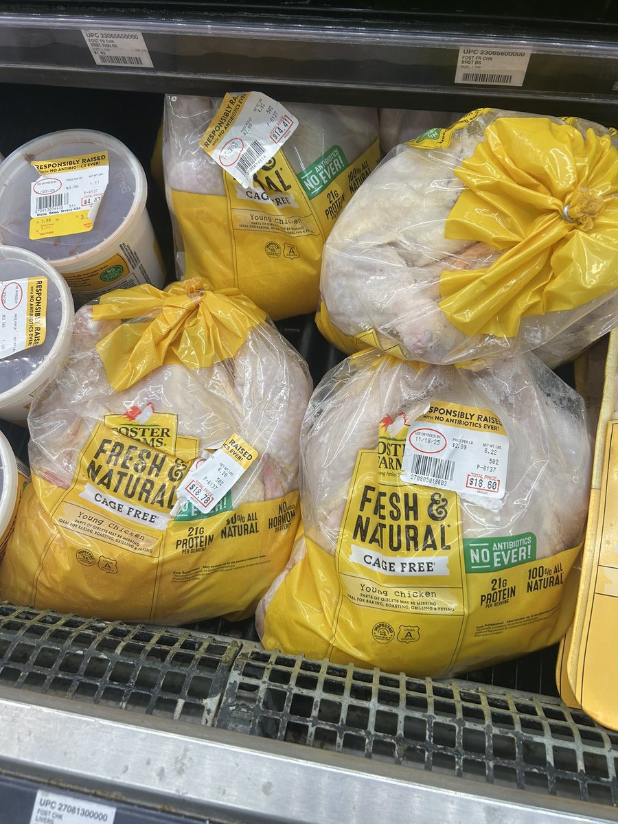 (Lord) El Silly Gato tweet media