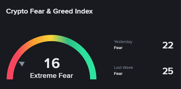 Rekt Fencer tweet media