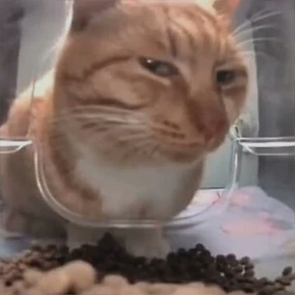 vxunderground's tweet image. Gonna say something that might rustle some jimmies, but we have GOT to be honest for a second.

Last month the Chinese governments CERT (Computer Emergency Response Team) released a paper detailing alleged United States NSA TAO (Tailored Access Operations) campaigns targeting…