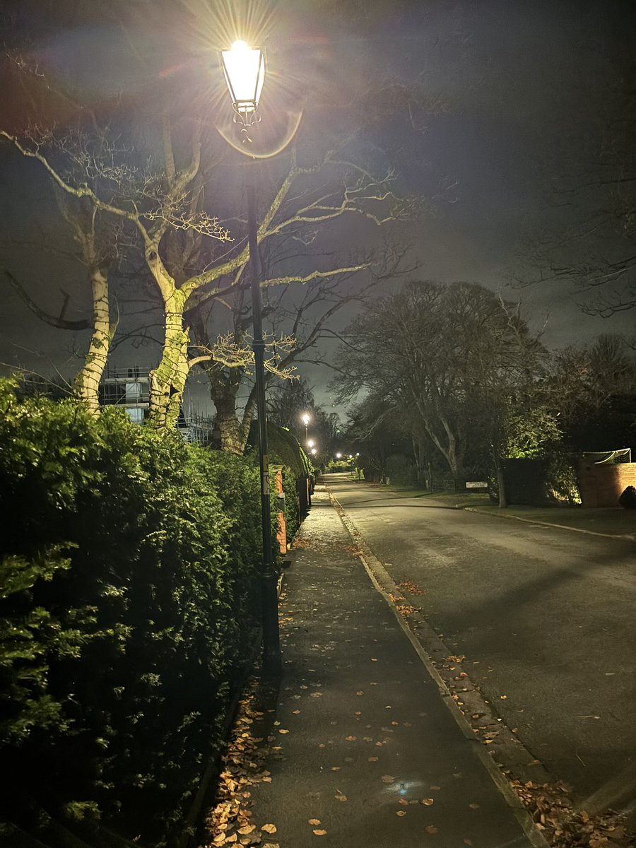 Prof Vince Bissell tweet media