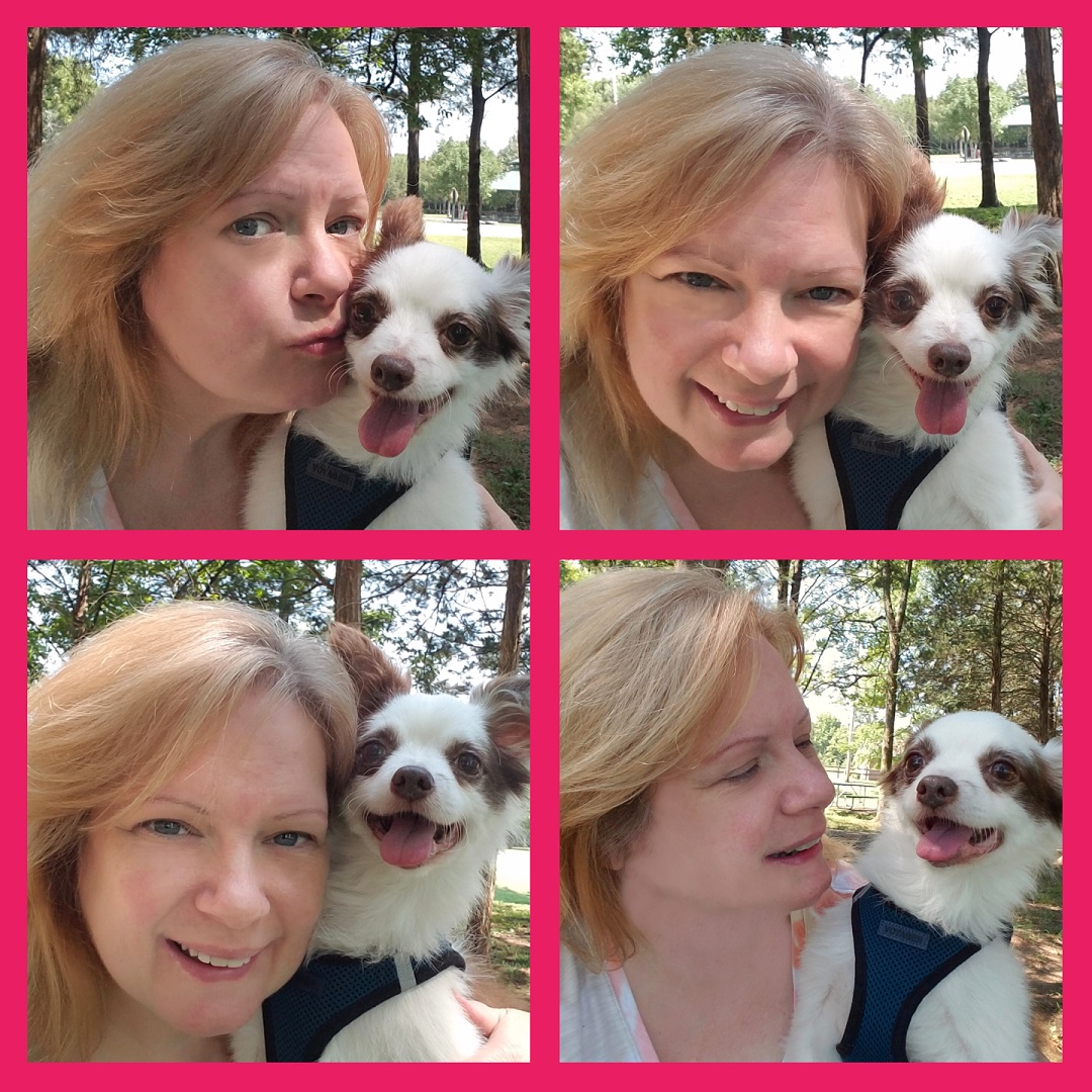 Charlie Boo 💙🐶 tweet media