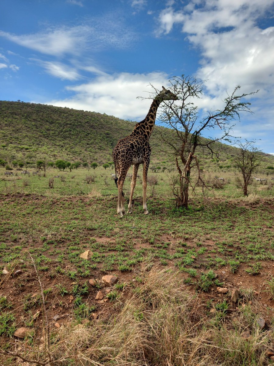 Pam Keevil tweet media