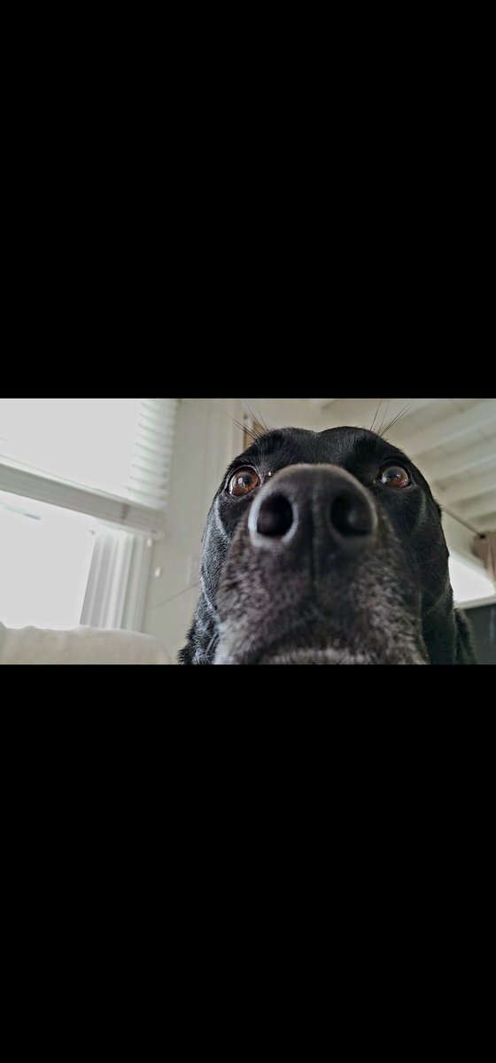 All this rain, I look terrible!😅🤣😂