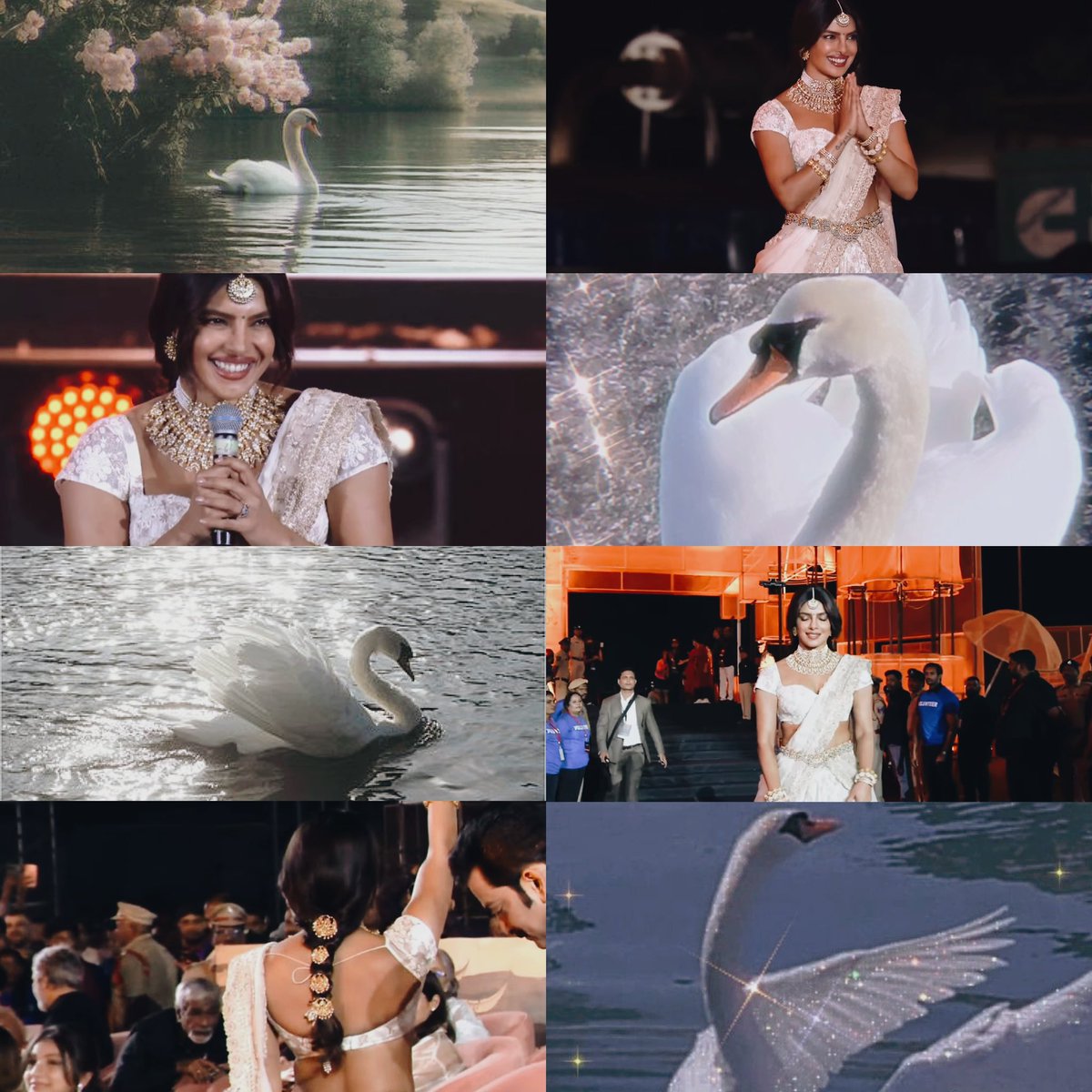 StacySuperDuper's tweet photo. She pretty she swan 🦢 https://t.co/wTtJiRjXa3
