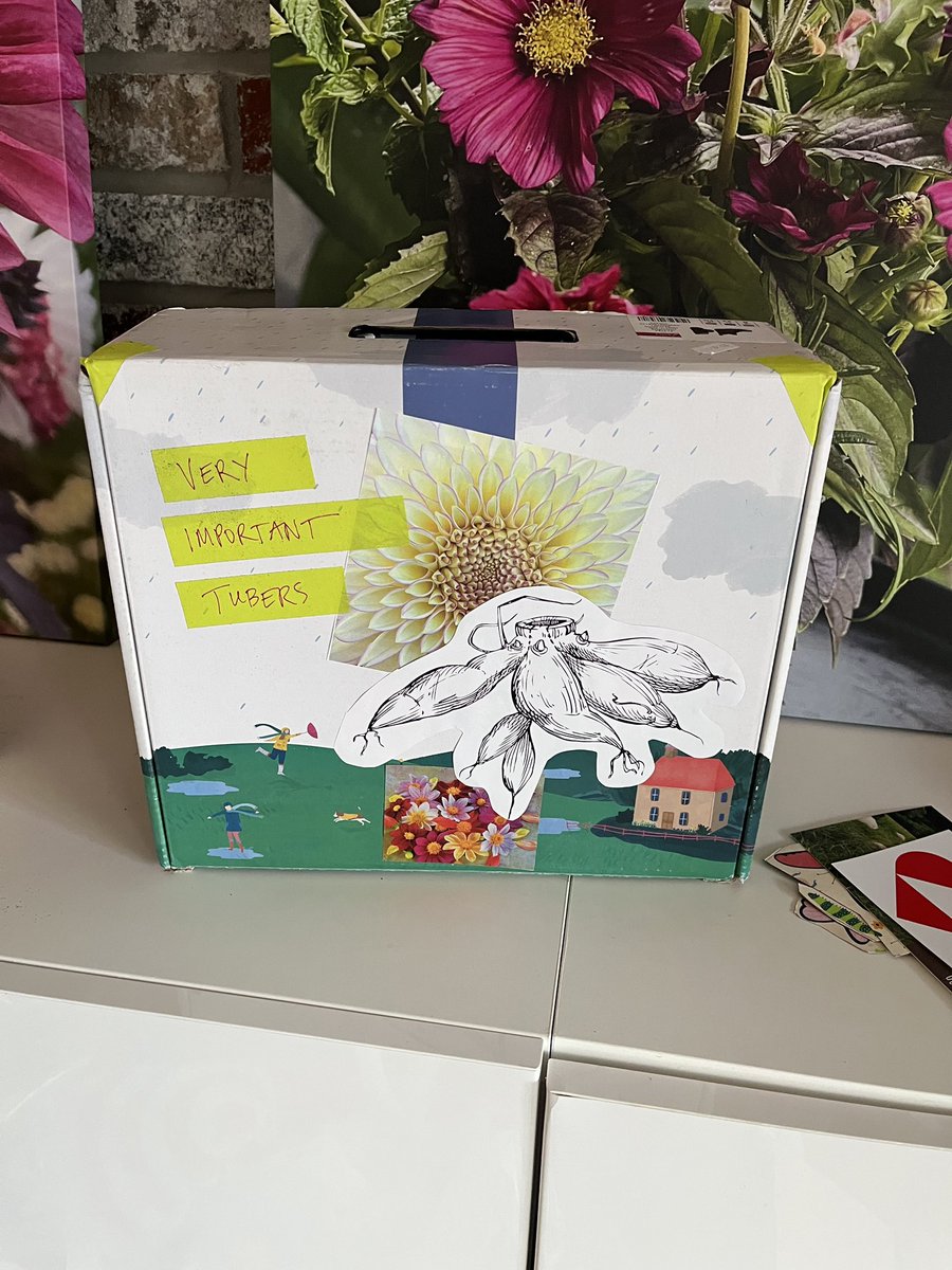 Kelly Rawlings, MPH, PWD tweet media