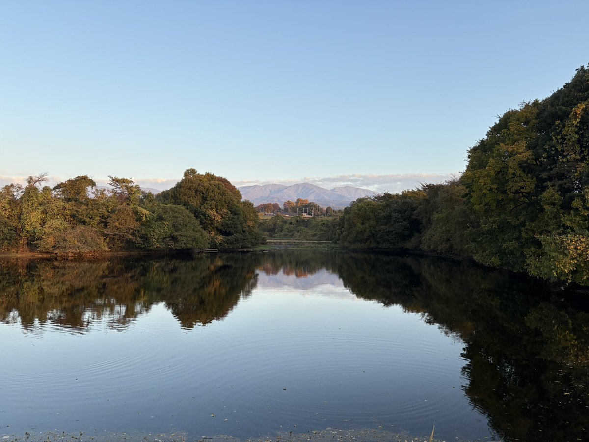 おはようございます☀️

往復15km、自転車で会社まで何分かかるか試走したら足ガクガクでした😅

帰りはずっと登りなのキツイ…