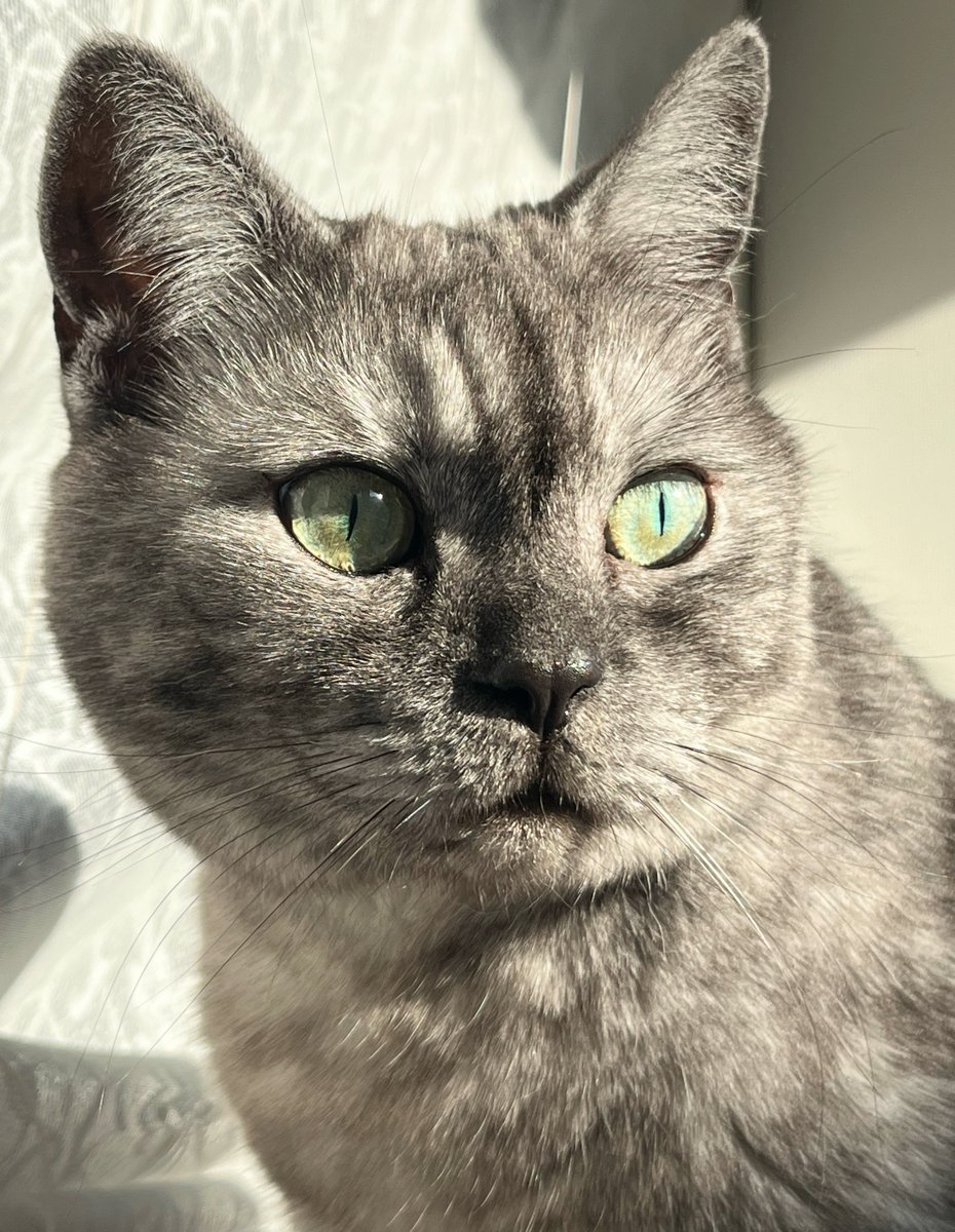 11/16(日)おはようございます
🍁🍂

佳い日曜日をお過ごしください🐈‍⬛💚