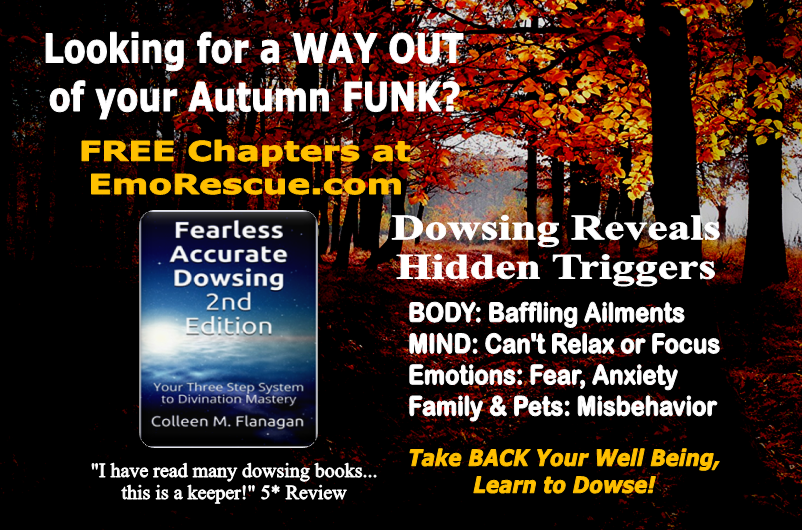 HolisticTips4U's tweet photo. Learn Dowsing for Wellness! ๐ Guide includes #muscletesting & #pendulum pics, scripts, troubleshooting guide, mind-body decoding chart, detailed physical & emo healing worksheets for you, #family #pets
๐ Paper https://t.co/2wnWi2a4Di
๐ฑ Ebook https://t.co/RZe4LsqQh0 #dowsing https://t.co/vQO9CwxzgU