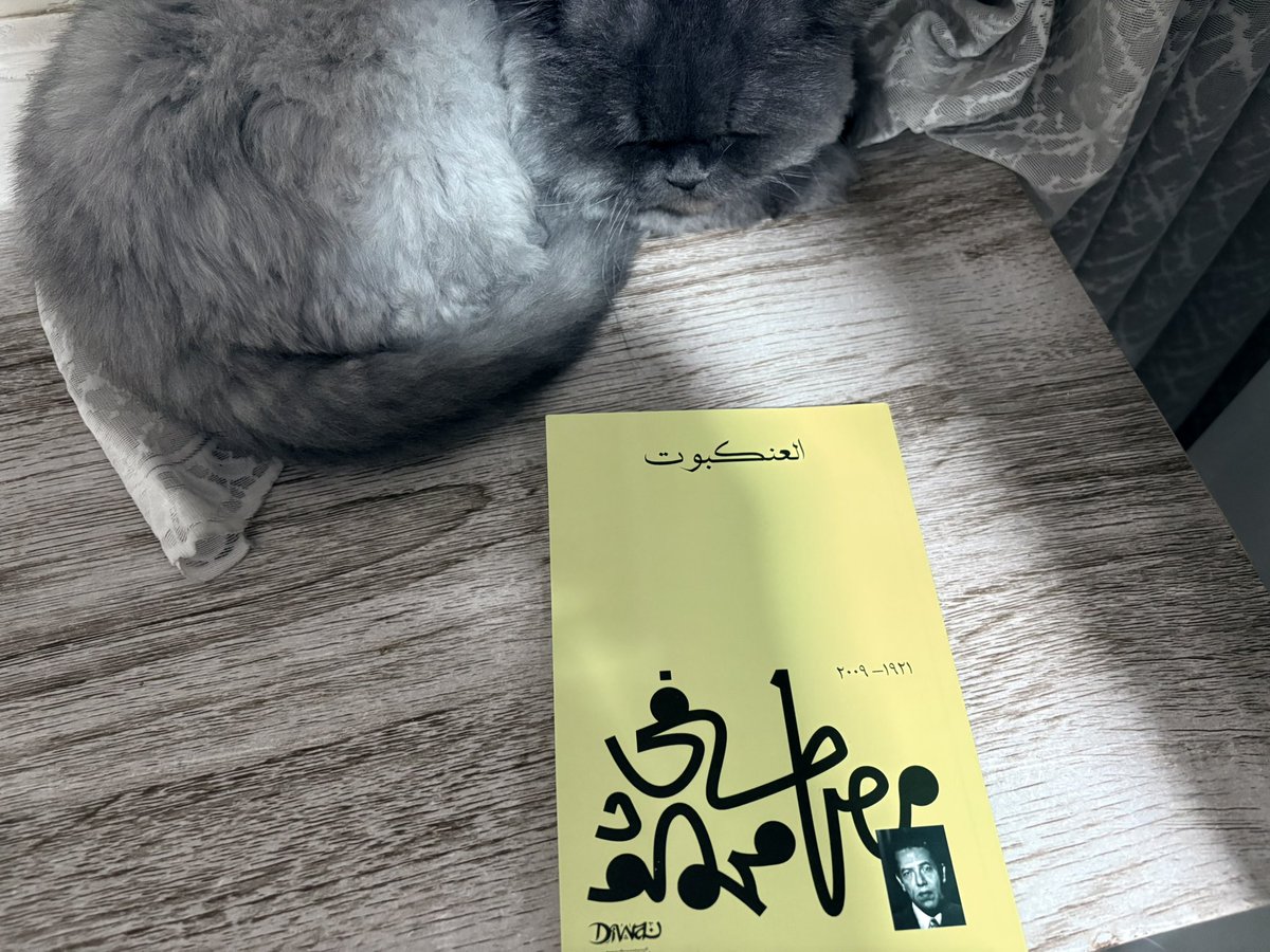 ترشيح رواية آسرة بجانب قِطّي «كافكا»: 
«العنكبوت» لمصطفى محمود. 

تدور رواية «العنكبوت» حول رجلٍ يبدأ في تجربة حالات غريبة تُشبه الانفصال عن الجسد، انتقالٌ مباغت بين أمكنةٍ وأزمنةٍ لا رابط بينها وكأنّه يعيش حيواتٍ متعدّدة في وقتٍ واحد. يلجأ إلى طبيبٍ نفسي يحاول تفسير ما يمرّ به،