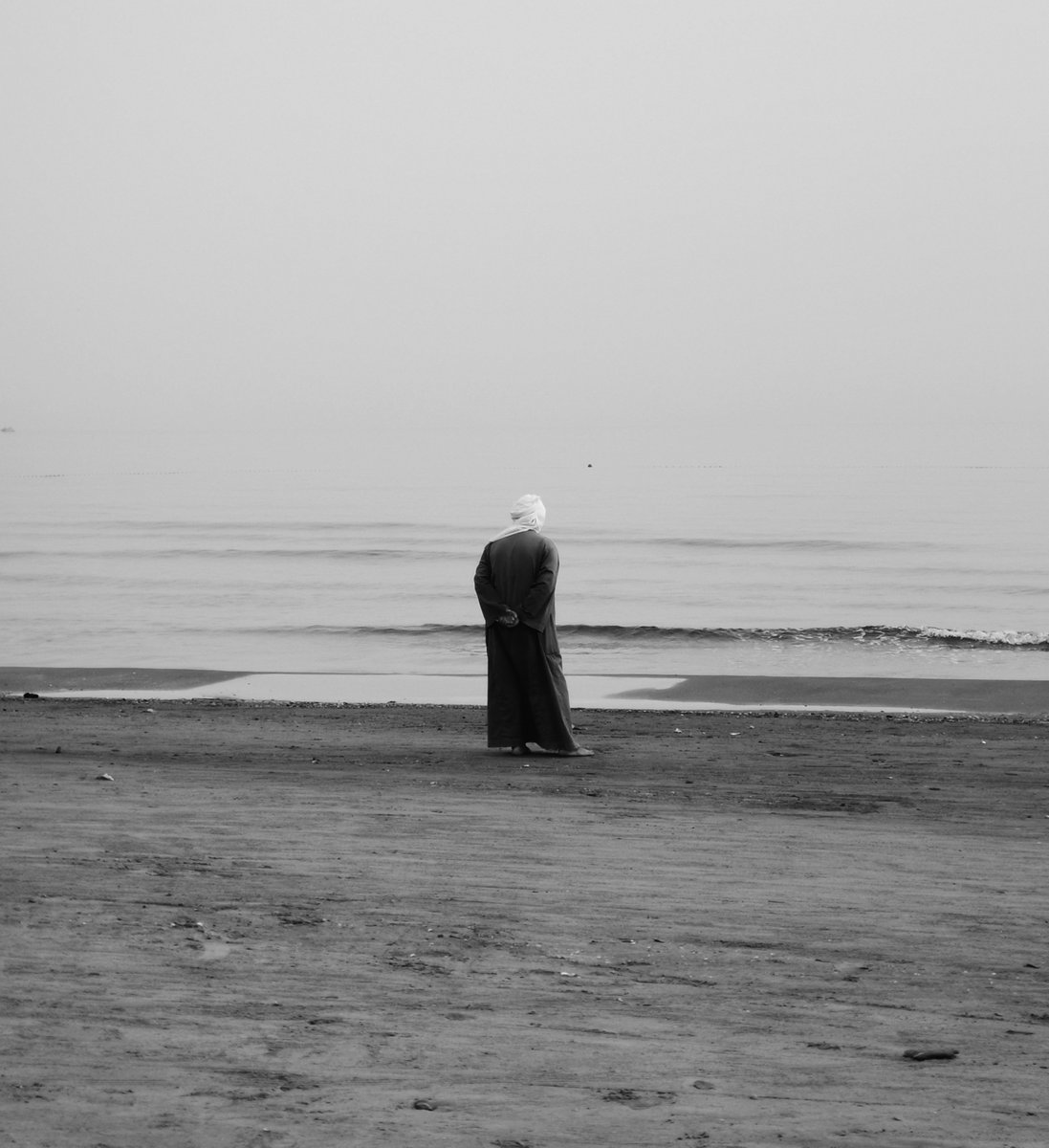 نبيه (@mohamednabih72) on Twitter photo 