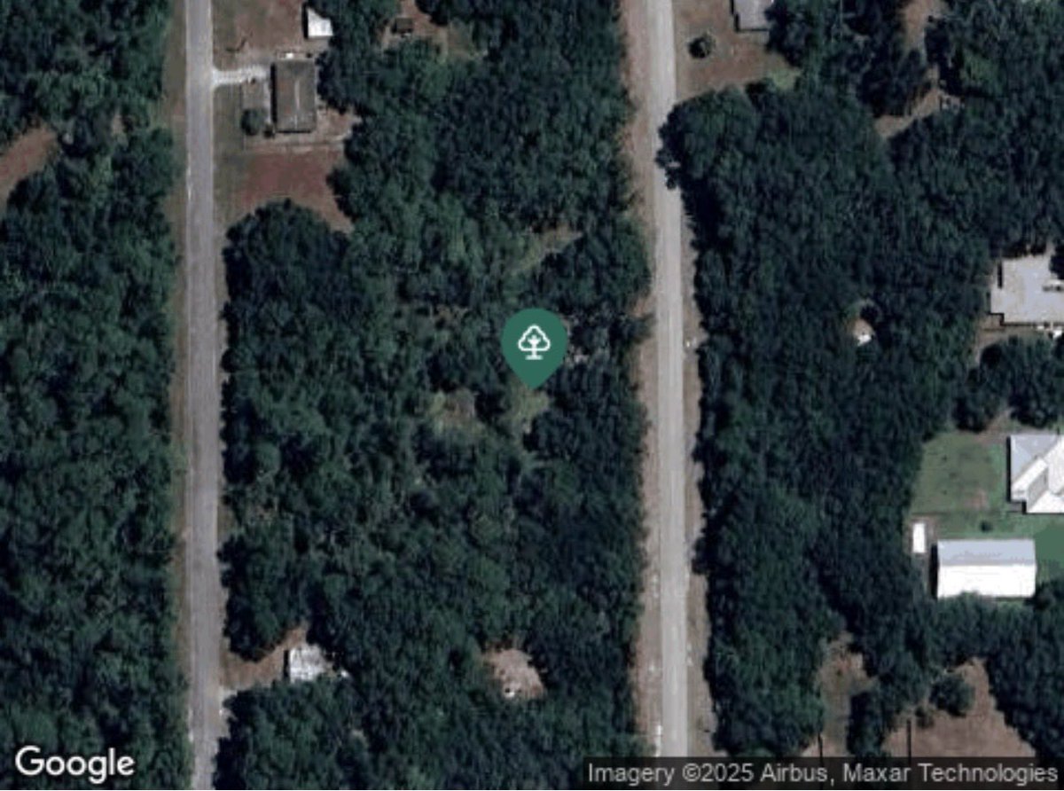 wayne77784218's tweet image. Started to buy designer but instead I purchased land.For sale 
#florida
#YouBuildItTheyWillCome
#generalcontractor
#GenerationalWealth
#vipltd